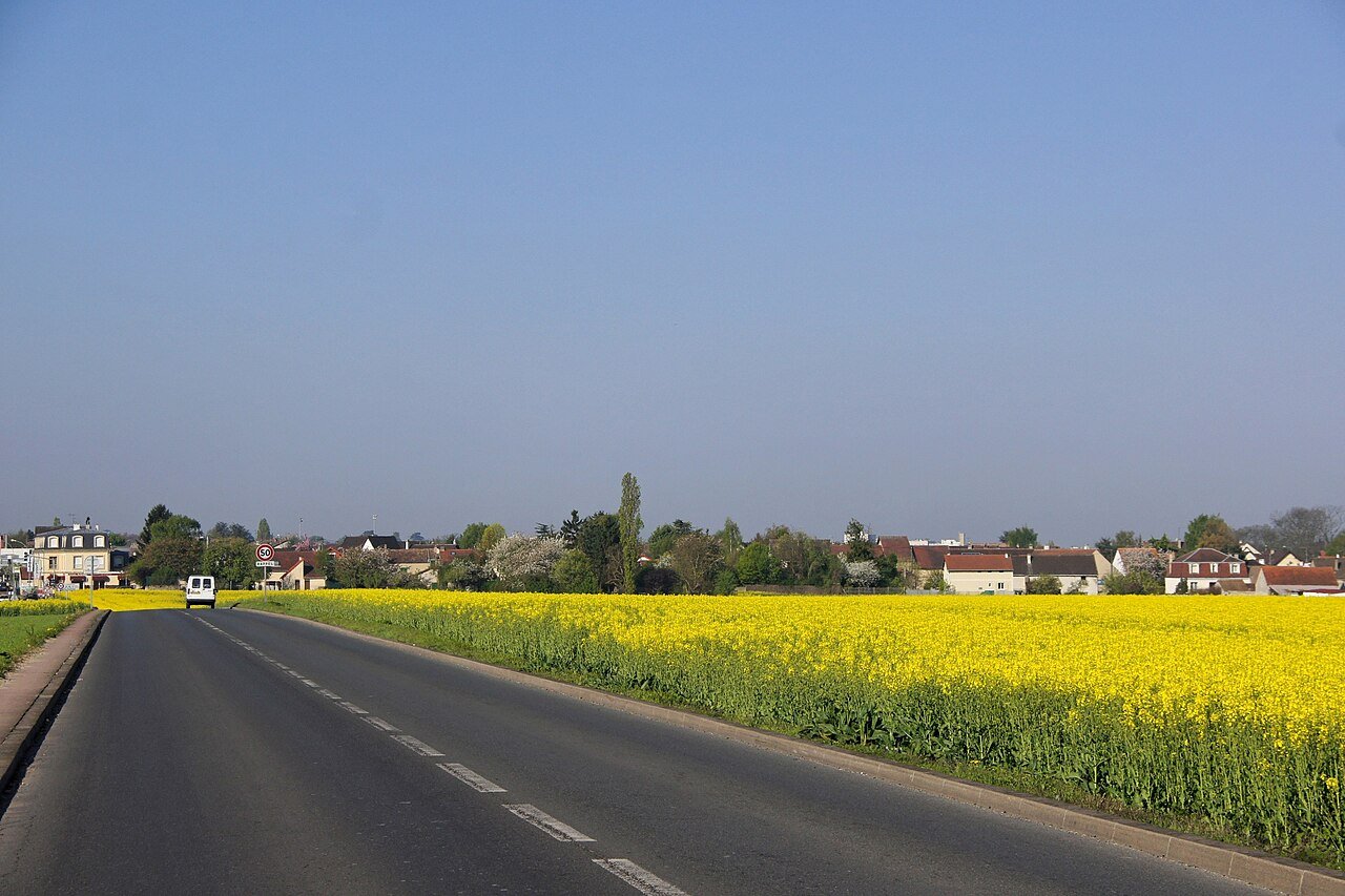 Noiseau